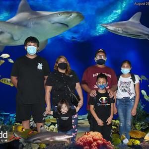 Meet your Posher, Celene